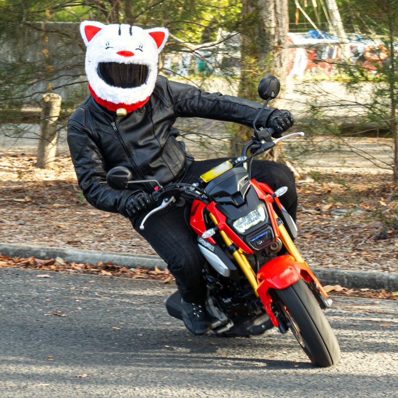 Helmet Cover for Motorcycle Helmet, Fun Rides and Gifts (Cover Only. Helmet Not Included) - Lucky Cat