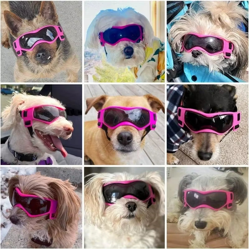 UV Protective Goggles for Dogs Cat Sunglasses Cool Protection Eyewear for Small Medium Dogs Outdoor Riding Pets Accessorie
